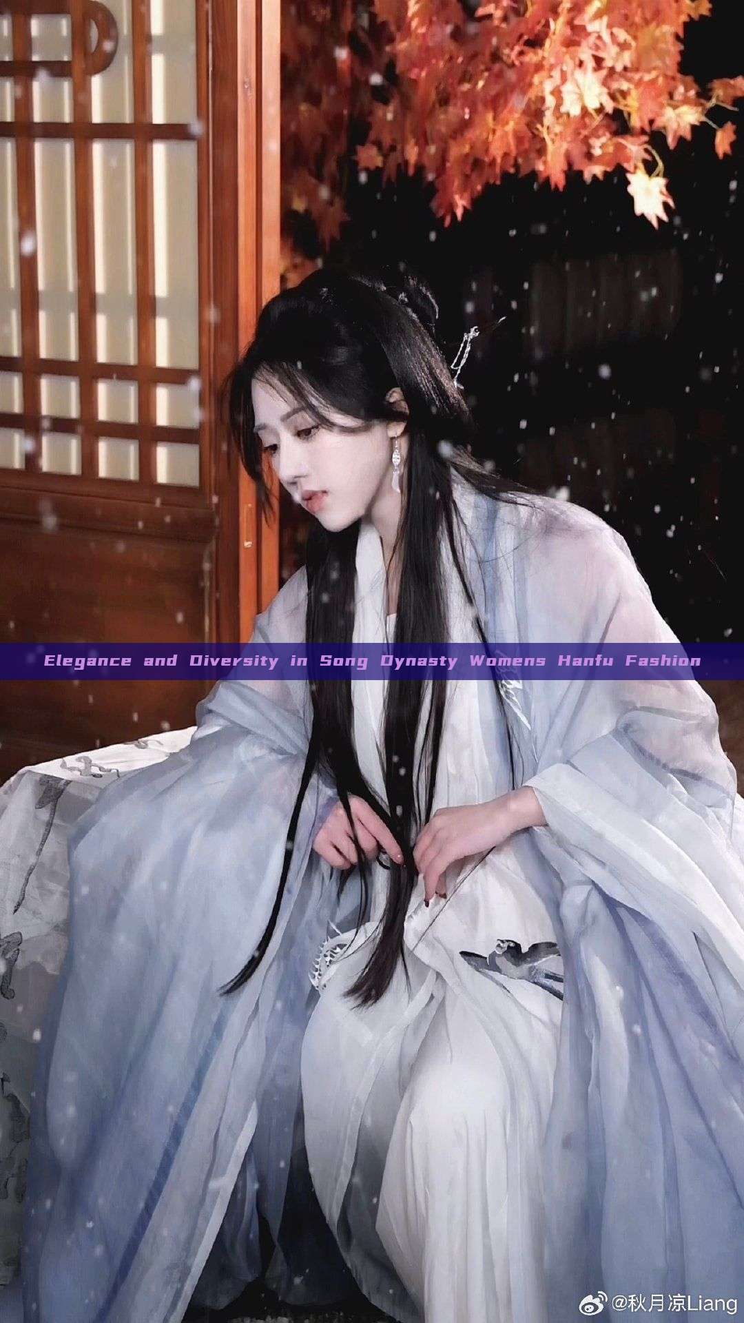 Elegance and Diversity in Song Dynasty Womens Hanfu Fashion Elegance and Diversity in Song Dynasty Womens Hanfu Fashion