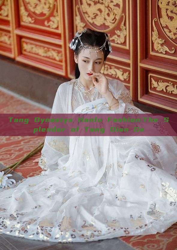 Tang Dynastys Hanfu Fashion:The Splendor of Tang Dian Ge Tang Dynastys Hanfu Fashion:The Splendor of Tang Dian Ge