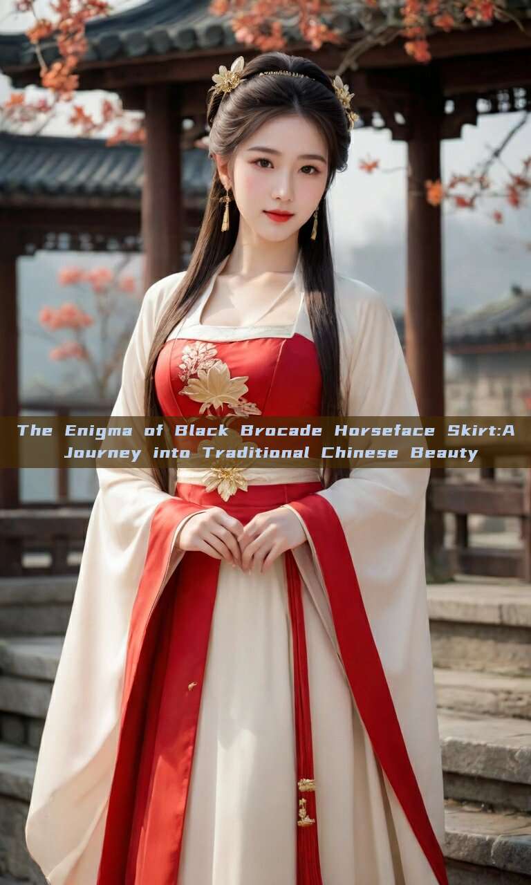 The Enigma of Black Brocade Horseface Skirt:A Journey into Traditional Chinese Beauty The Enigma of Black Brocade Horseface Skirt:A Journey into Traditional Chinese Beauty