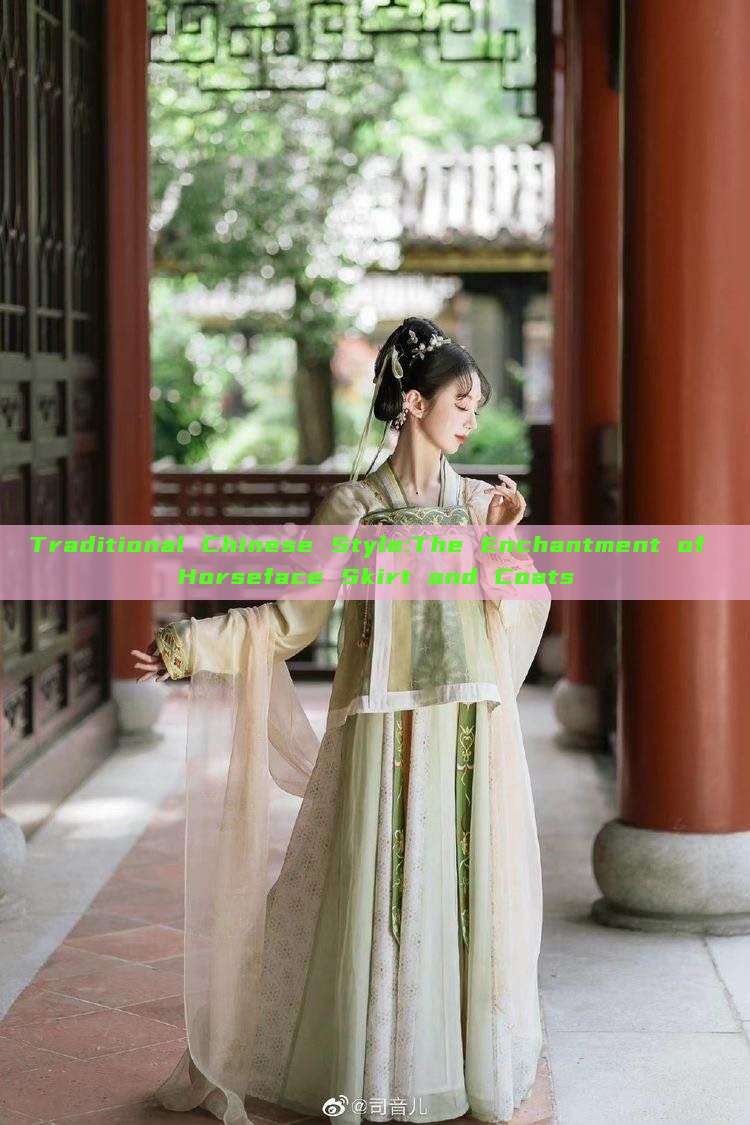 Traditional Chinese Style:The Enchantment of Horseface Skirt and Coats Traditional Chinese Style:The Enchantment of Horseface Skirt and Coats