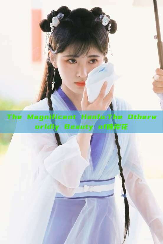 The Magnificent Hanfu:The Otherworldly Beauty of彼岸花 The Magnificent Hanfu:The Otherworldly Beauty of彼岸花