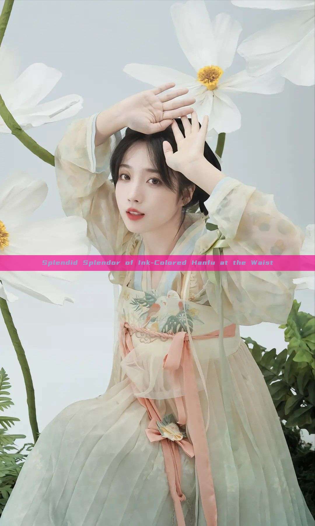 Splendid Splendor of Ink-Colored Hanfu at the Waist Splendid Splendor of Ink-Colored Hanfu at the Waist