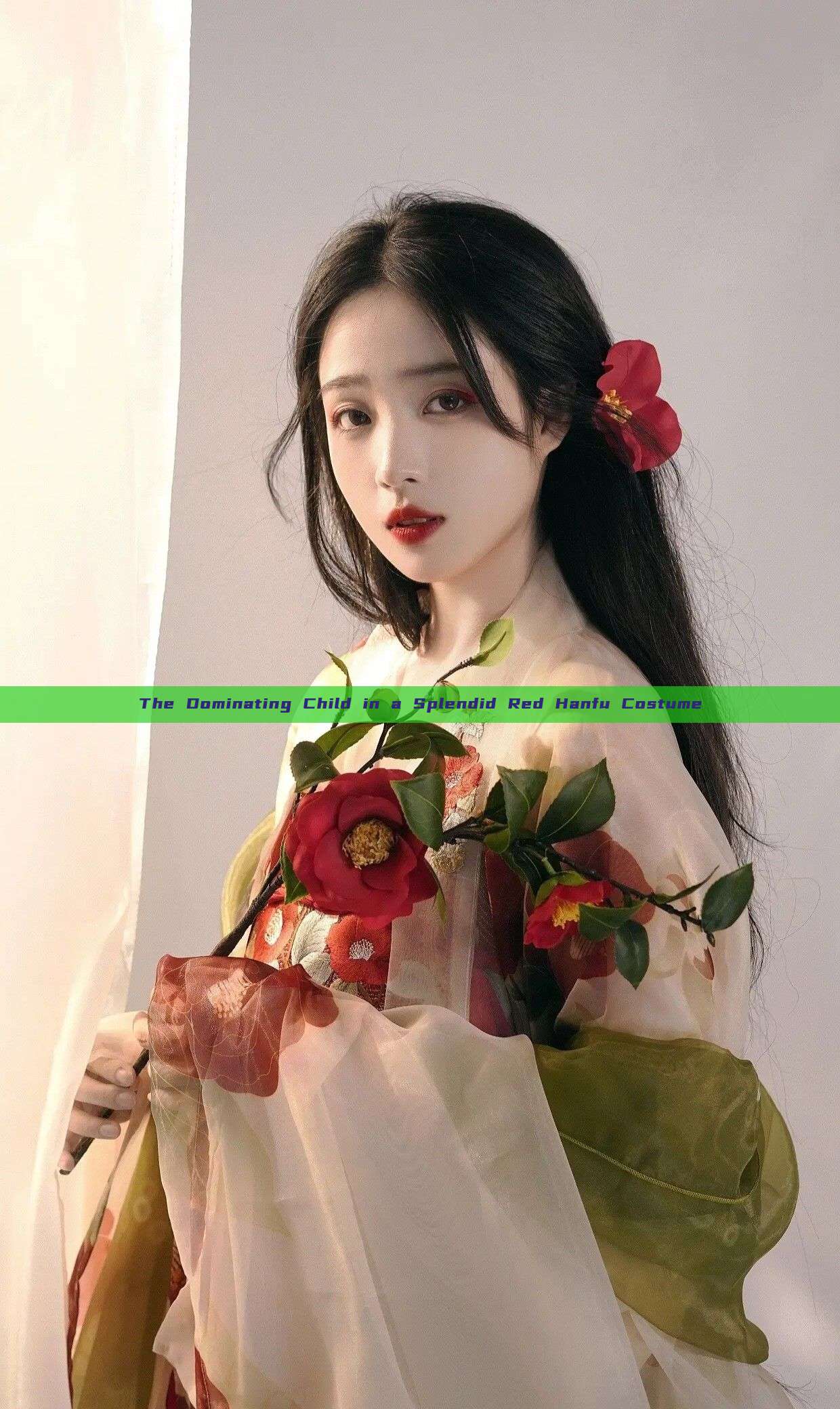 The Dominating Child in a Splendid Red Hanfu Costume The Dominating Child in a Splendid Red Hanfu Costume