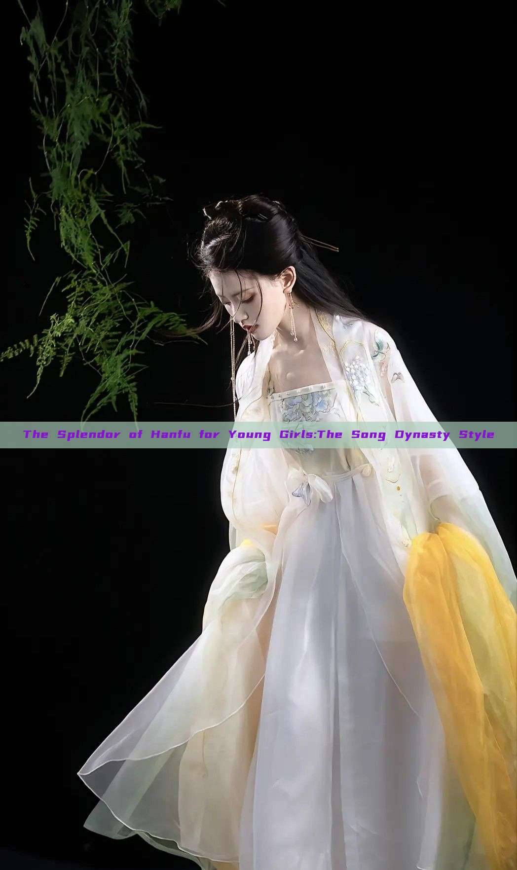 The Splendor of Hanfu for Young Girls:The Song Dynasty Style The Splendor of Hanfu for Young Girls:The Song Dynasty Style