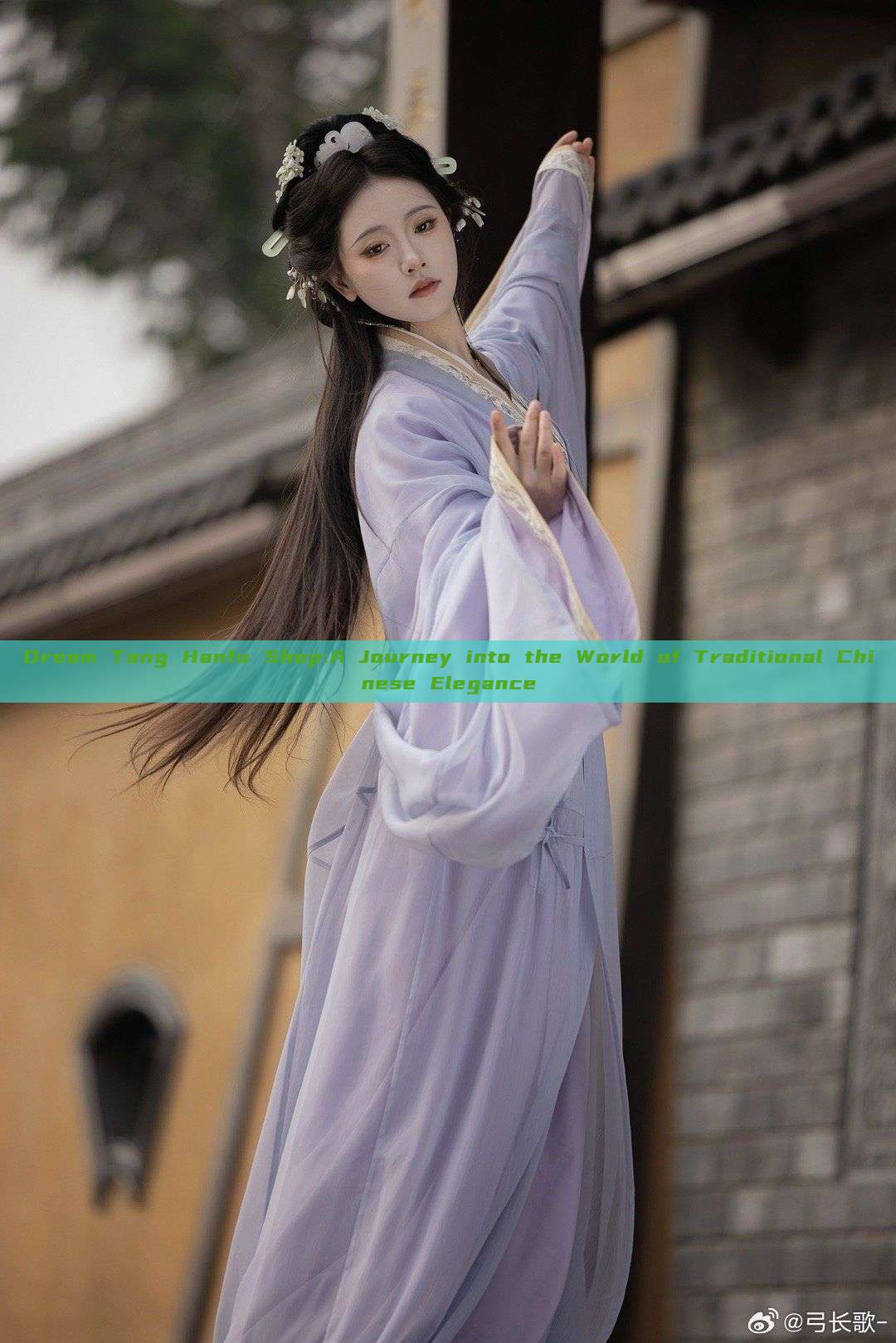 Dream Tang Hanfu Shop:A Journey into the World of Traditional Chinese Elegance