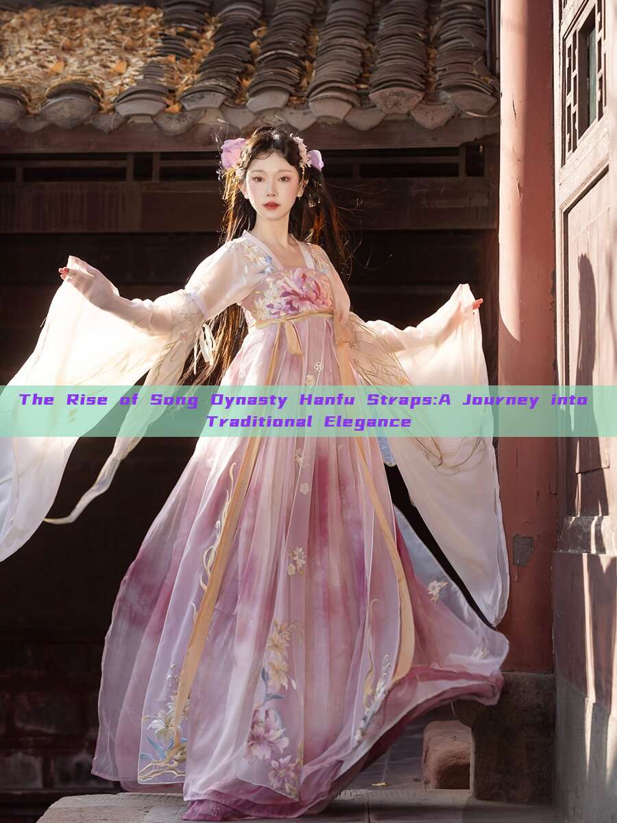 The Rise of Song Dynasty Hanfu Straps:A Journey into Traditional Elegance