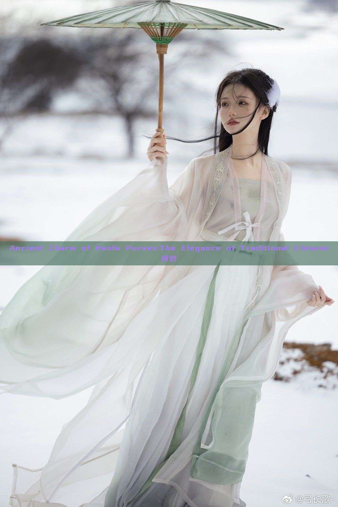Ancient Charm of Hanfu Purses:The Elegance of Traditional Chinese荷包 Ancient Charm of Hanfu Purses:The Elegance of Traditional Chinese荷包