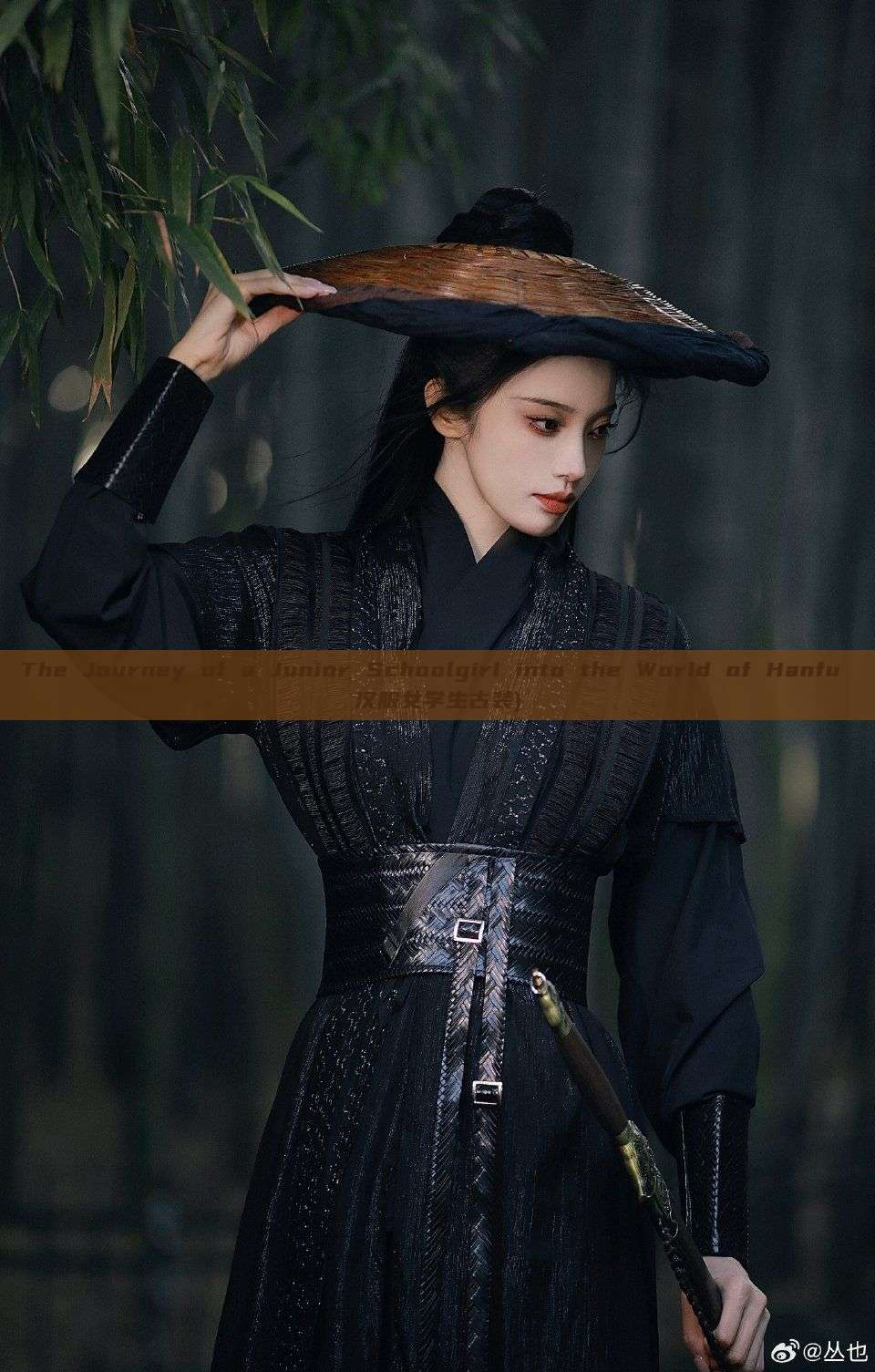 The Journey of a Junior Schoolgirl into the World of Hanfu 汉服女学生古装) The Journey of a Junior Schoolgirl into the World of Hanfu 汉服女学生古装)