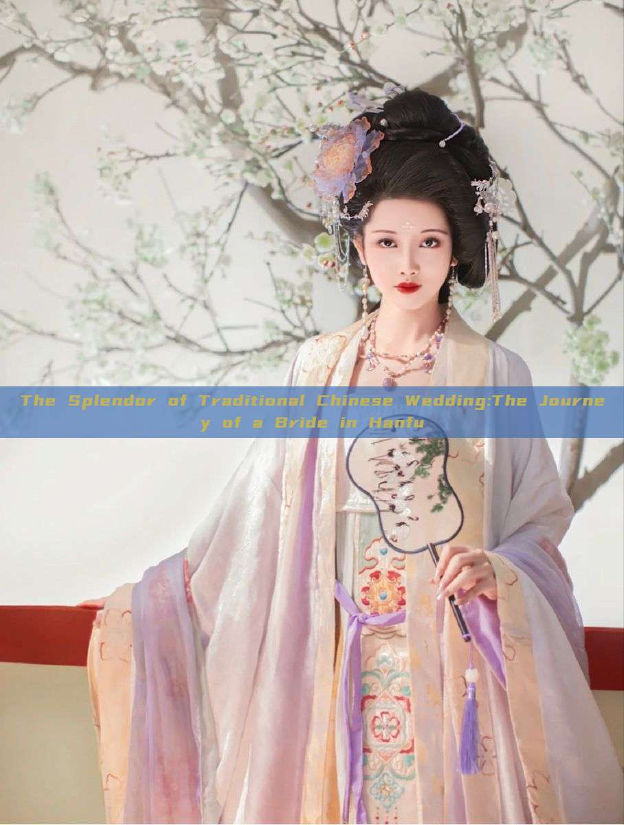 The Splendor of Traditional Chinese Wedding:The Journey of a Bride in Hanfu The Splendor of Traditional Chinese Wedding:The Journey of a Bride in Hanfu