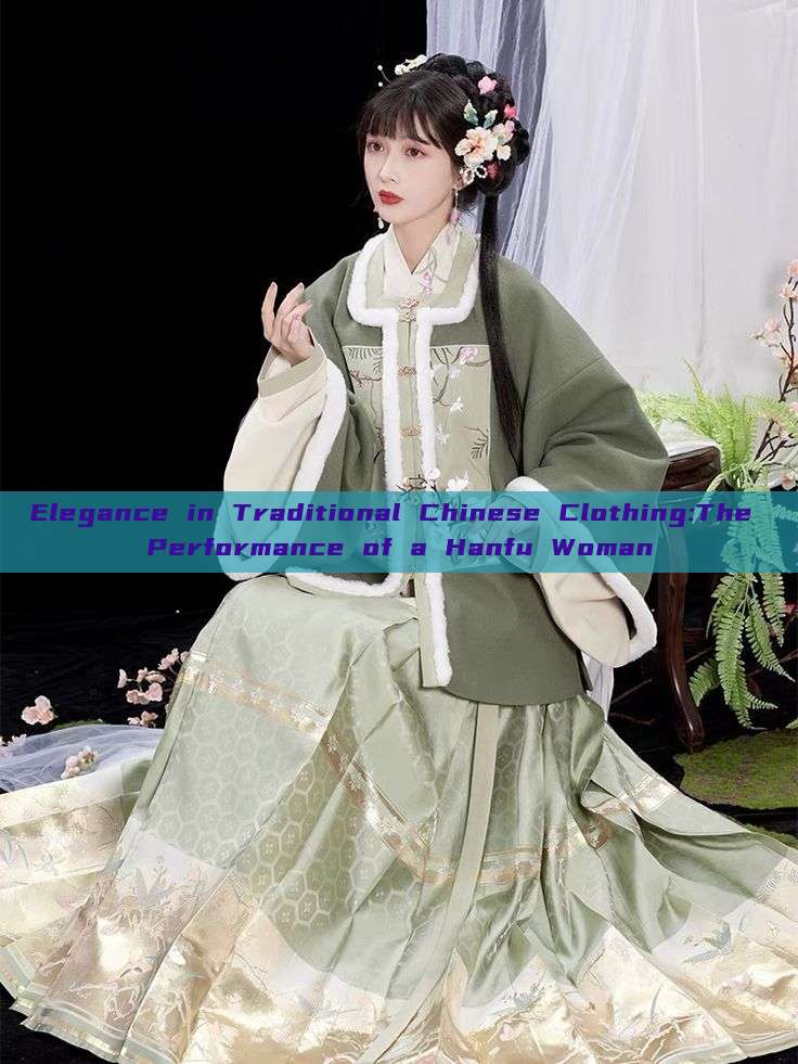 Elegance in Traditional Chinese Clothing:The Performance of a Hanfu Woman Elegance in Traditional Chinese Clothing:The Performance of a Hanfu Woman