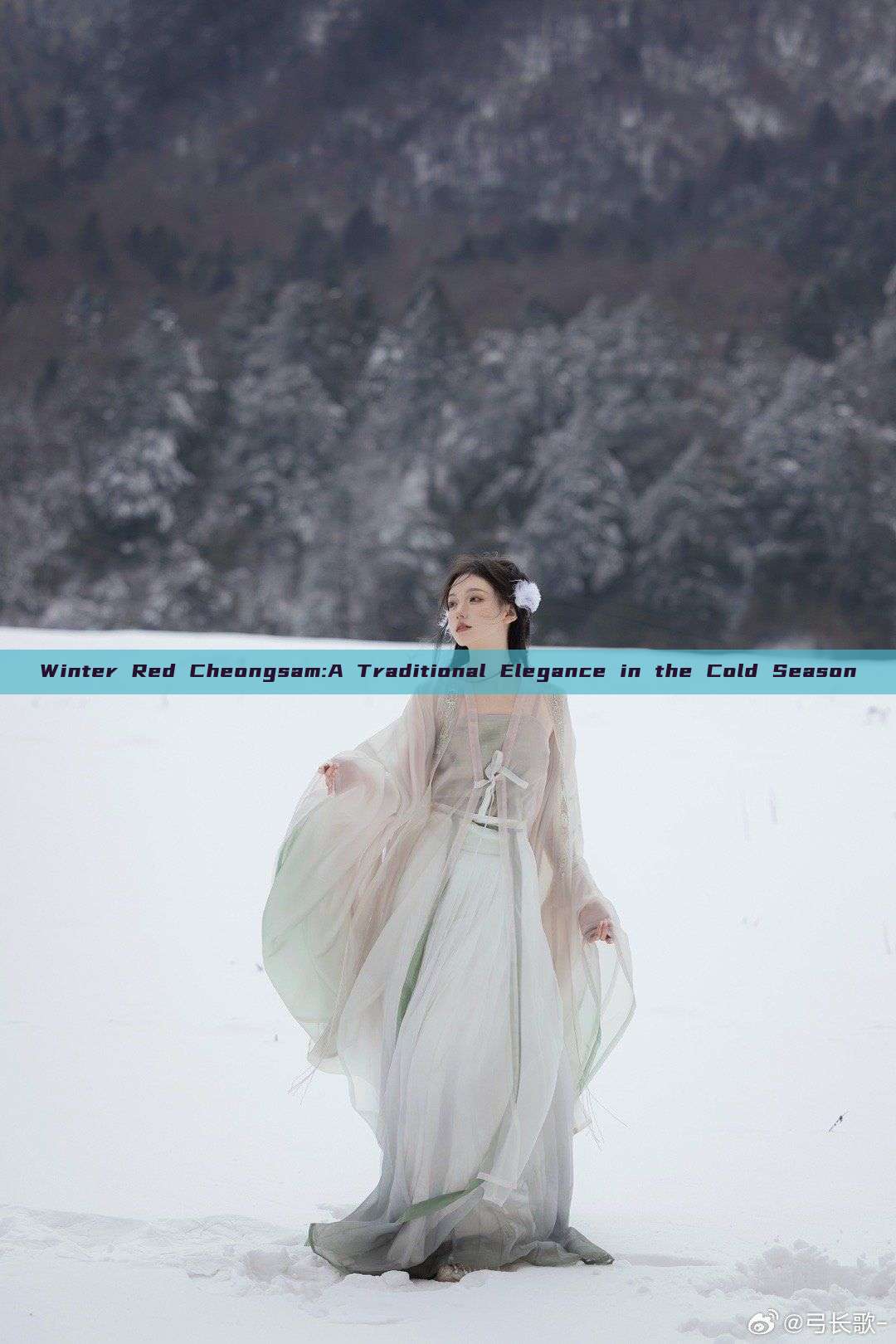 Winter Red Cheongsam:A Traditional Elegance in the Cold Season Winter Red Cheongsam:A Traditional Elegance in the Cold Season