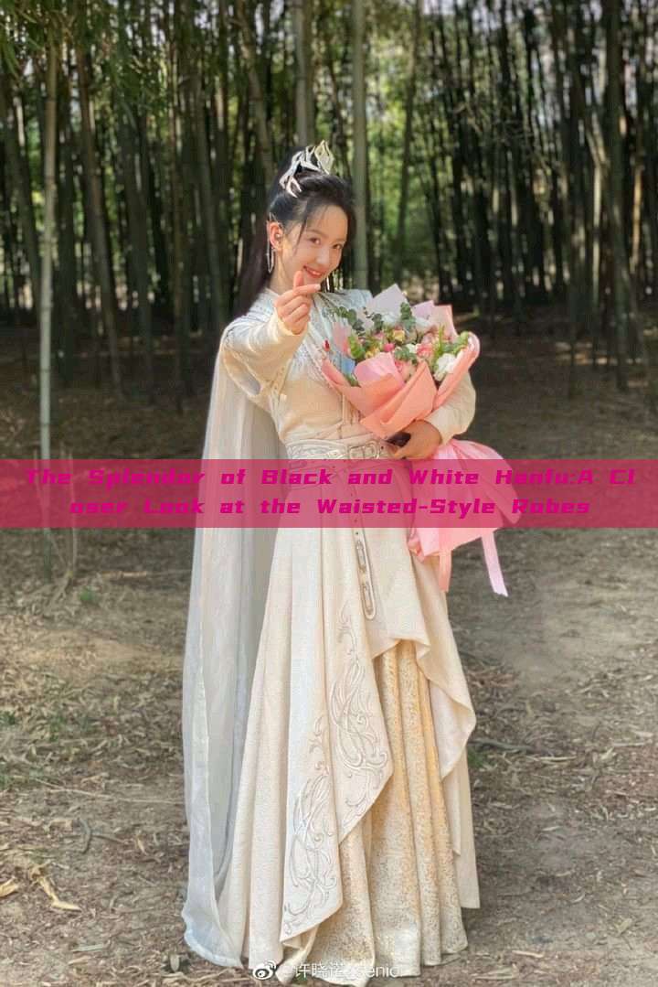 The Splendor of Black and White Hanfu:A Closer Look at the Waisted-Style Robes The Splendor of Black and White Hanfu:A Closer Look at the Waisted-Style Robes