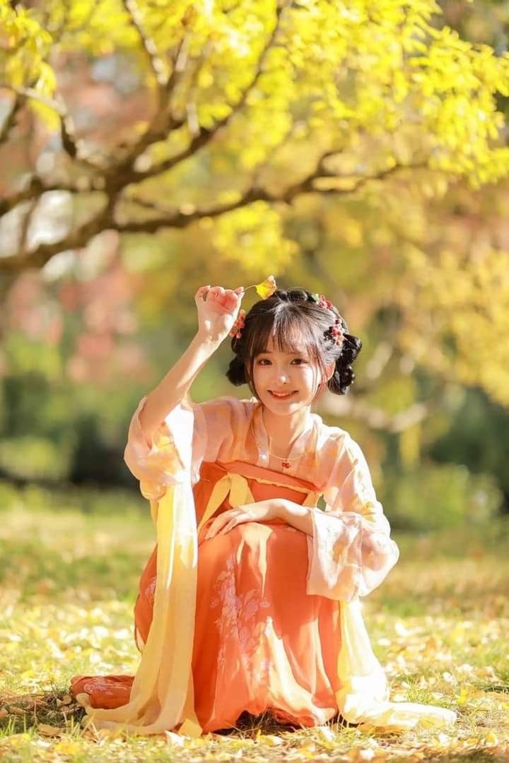 The Background of Cheongsam Fashion Show Video The Background of Cheongsam Fashion Show Video