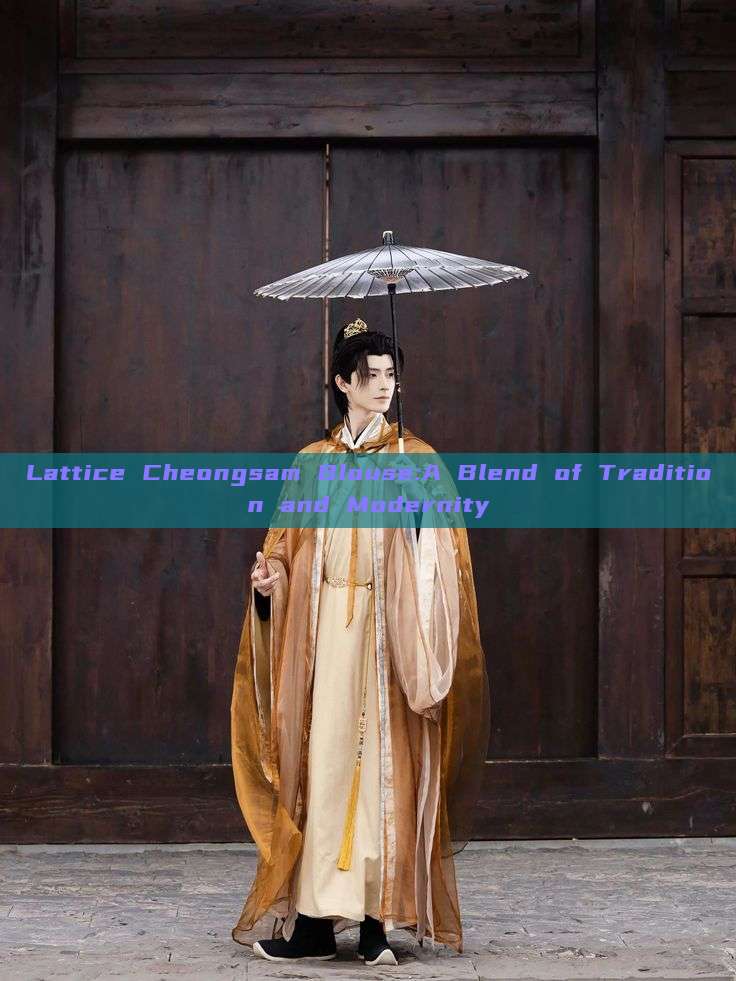 Lattice Cheongsam Blouse:A Blend of Tradition and Modernity Lattice Cheongsam Blouse:A Blend of Tradition and Modernity