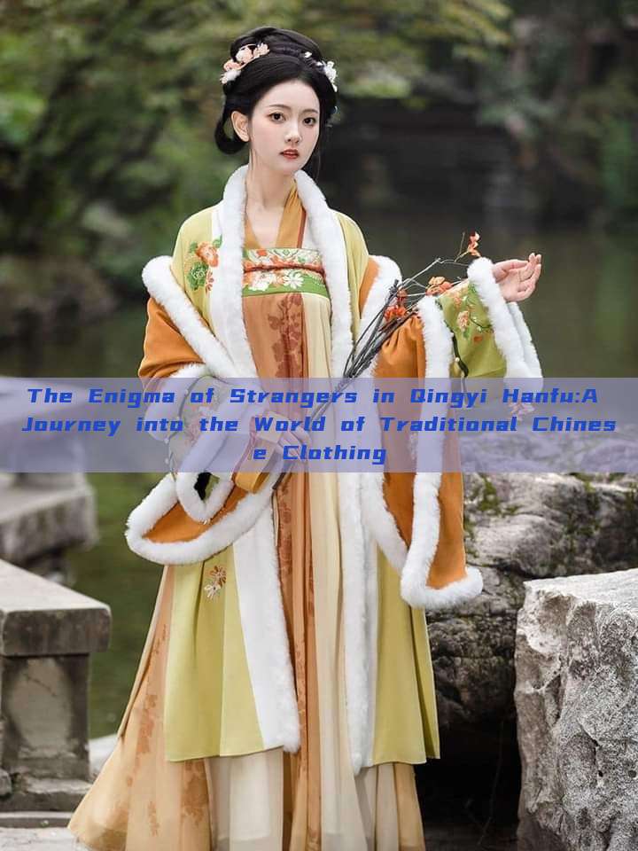The Enigma of Strangers in Qingyi Hanfu:A Journey into the World of Traditional Chinese Clothing The Enigma of Strangers in Qingyi Hanfu:A Journey into the World of Traditional Chinese Clothing