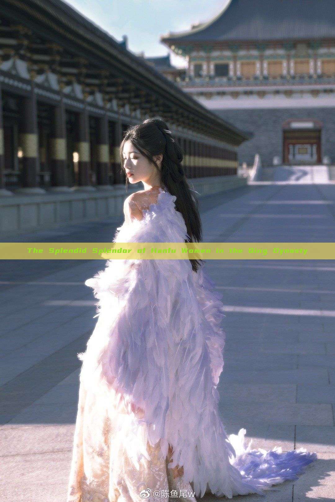 The Splendid Splendor of Hanfu Women in the Qing Dynasty The Splendid Splendor of Hanfu Women in the Qing Dynasty
