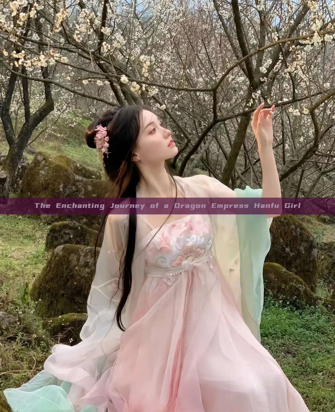 The Enchanting Journey of a Dragon Empress Hanfu Girl The Enchanting Journey of a Dragon Empress Hanfu Girl