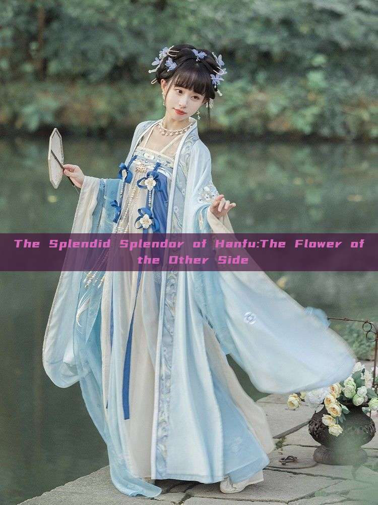 The Splendid Splendor of Hanfu:The Flower of the Other Side The Splendid Splendor of Hanfu:The Flower of the Other Side