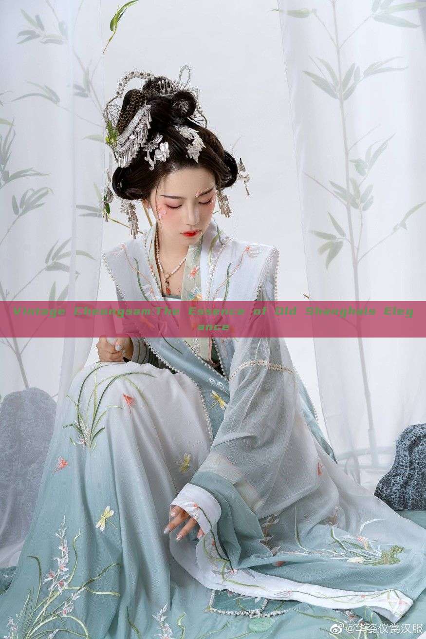 Vintage Cheongsam:The Essence of Old Shanghais Elegance Vintage Cheongsam:The Essence of Old Shanghais Elegance