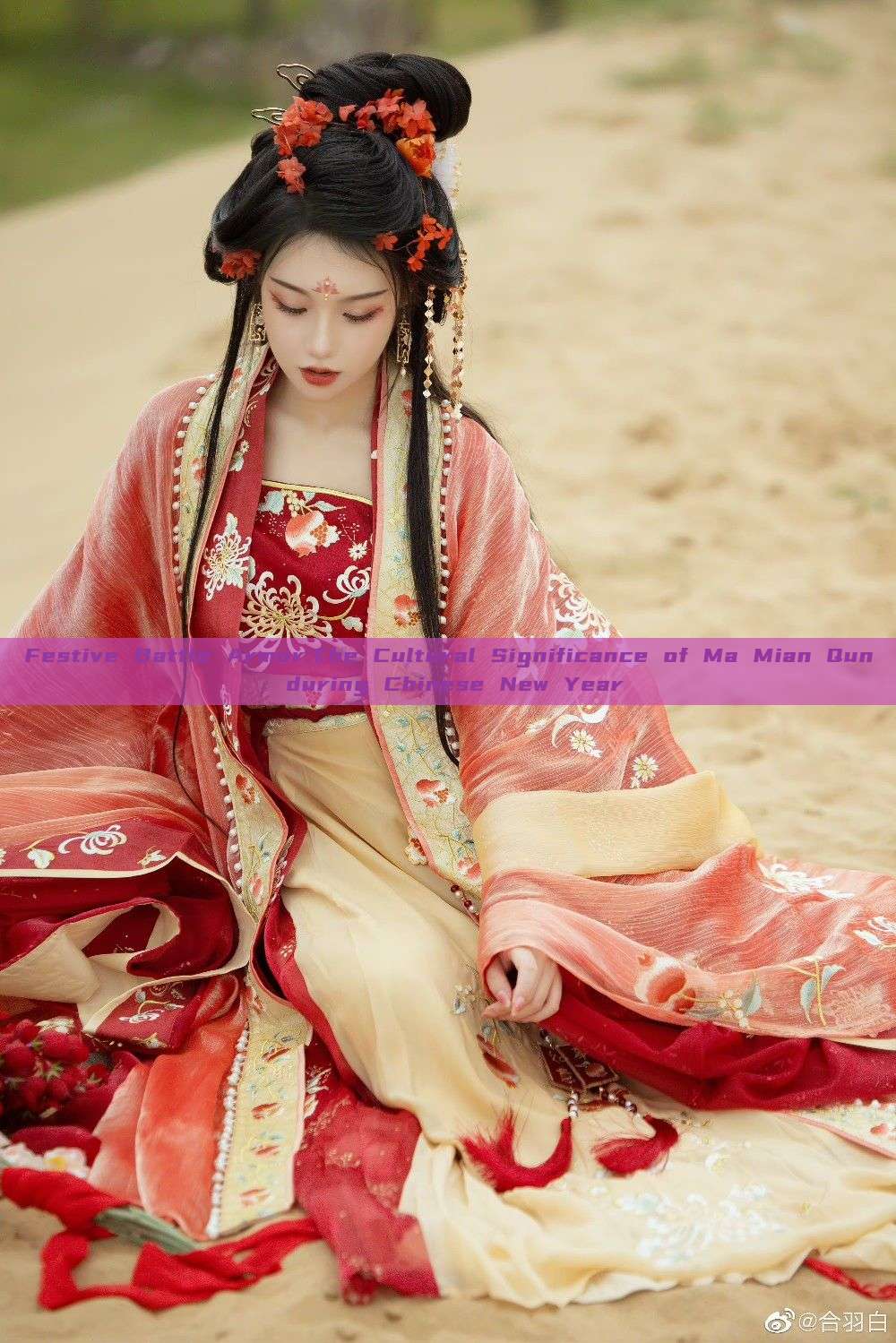 Festive Battle Armor:The Cultural Significance of Ma Mian Qun during Chinese New Year Festive Battle Armor:The Cultural Significance of Ma Mian Qun during Chinese New Year