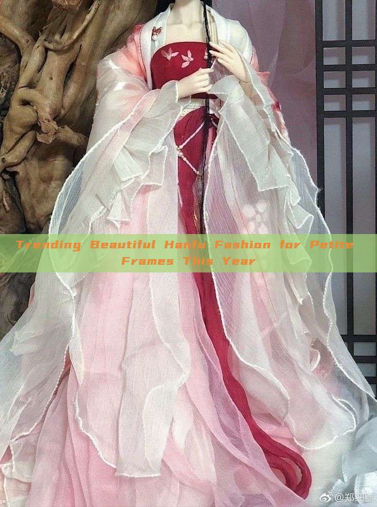 Trending Beautiful Hanfu Fashion for Petite Frames This Year Trending Beautiful Hanfu Fashion for Petite Frames This Year