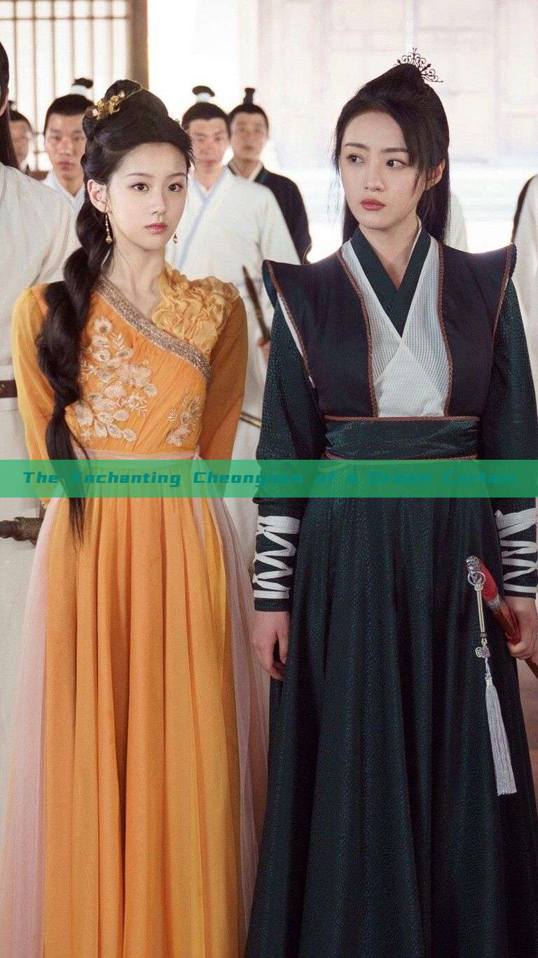 The Enchanting Cheongsam of a Dream Curtain The Enchanting Cheongsam of a Dream Curtain