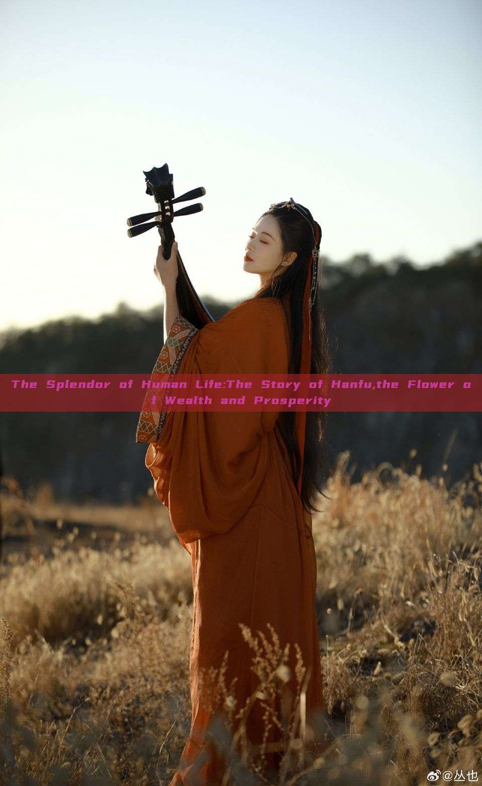 The Splendor of Human Life:The Story of Hanfu,the Flower of Wealth and Prosperity