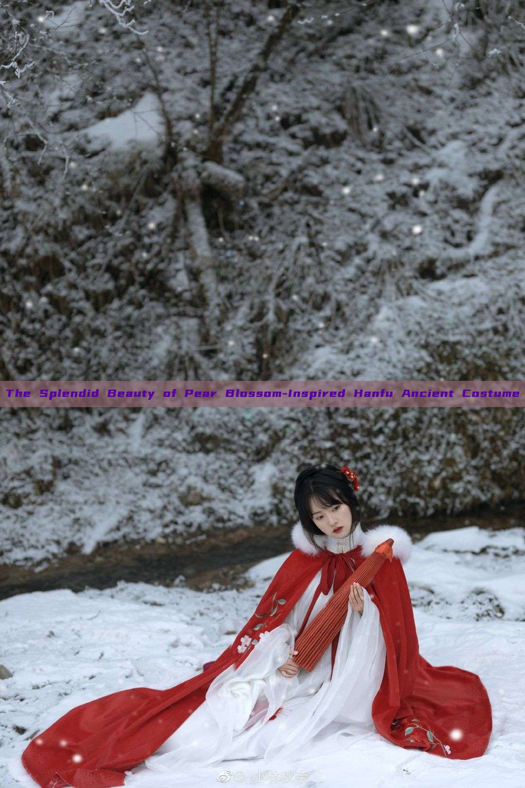 The Splendid Beauty of Pear Blossom-Inspired Hanfu Ancient Costume The Splendid Beauty of Pear Blossom-Inspired Hanfu Ancient Costume