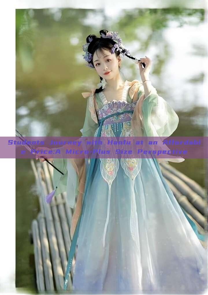 Students Journey with Hanfu at an Affordable Price:A Micro-Plus Size Perspective Students Journey with Hanfu at an Affordable Price:A Micro-Plus Size Perspective