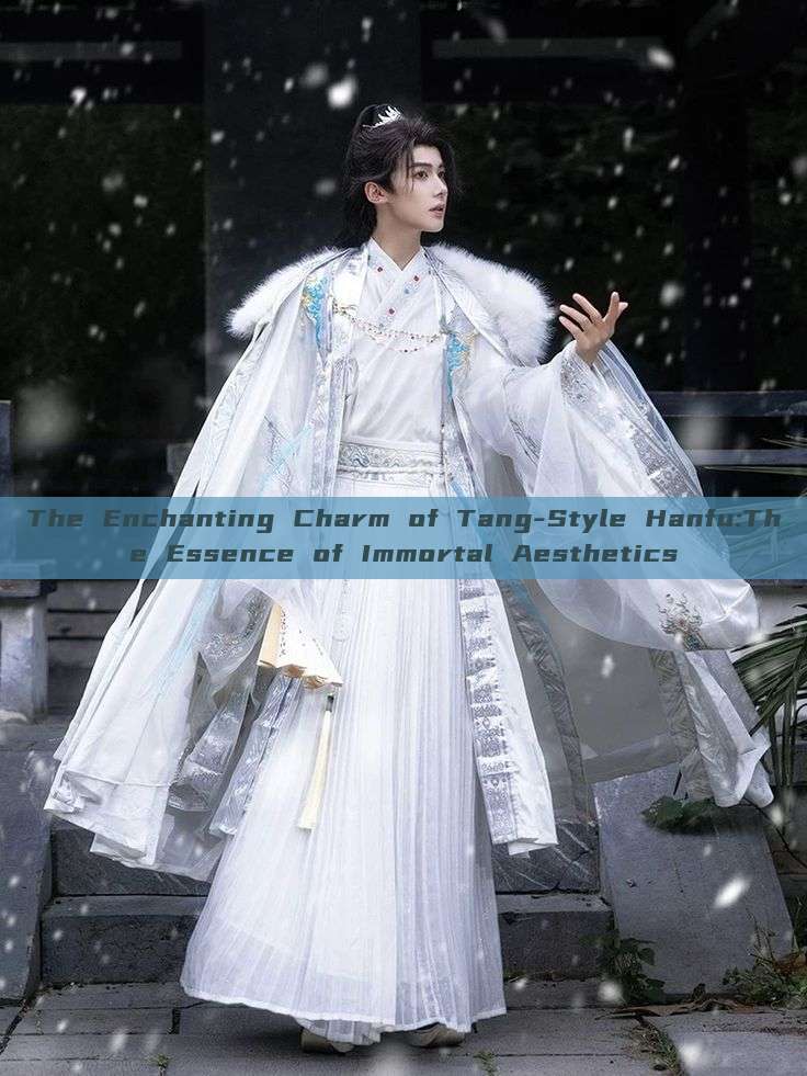 The Enchanting Charm of Tang-Style Hanfu:The Essence of Immortal Aesthetics The Enchanting Charm of Tang-Style Hanfu:The Essence of Immortal Aesthetics