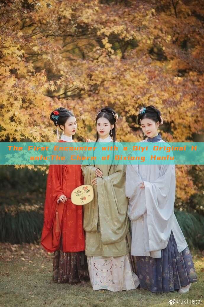 The First Encounter with a Qiyi Original Hanfu:The Charm of Qixiong Hanfu The First Encounter with a Qiyi Original Hanfu:The Charm of Qixiong Hanfu