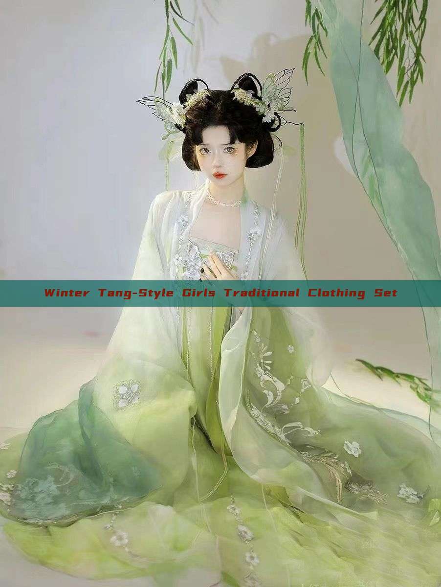 Winter Tang-Style Girls Traditional Clothing Set Winter Tang-Style Girls Traditional Clothing Set