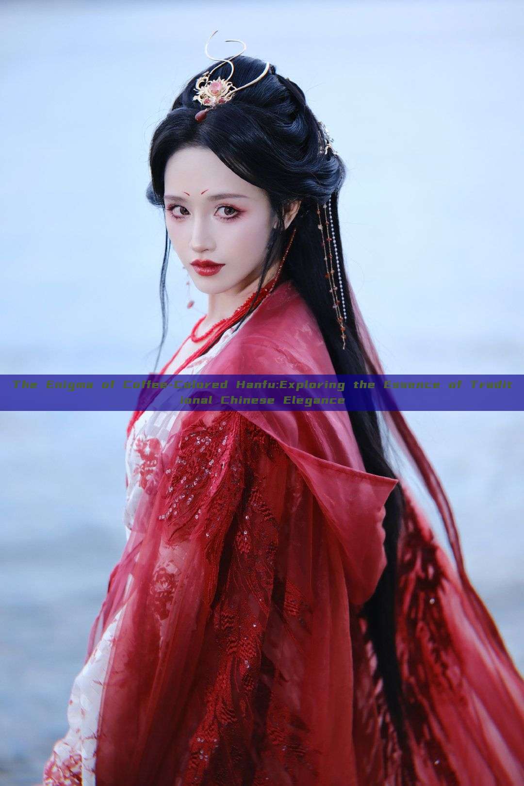The Enigma of Coffee-Colored Hanfu:Exploring the Essence of Traditional Chinese Elegance