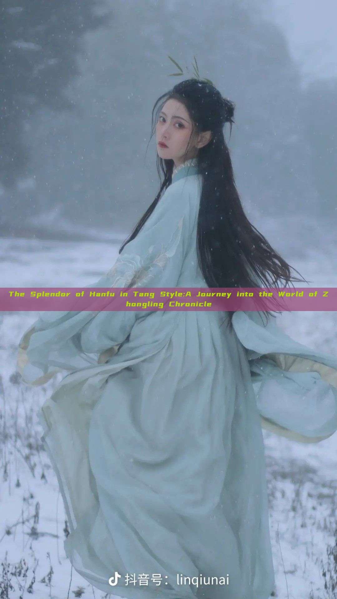 The Splendor of Hanfu in Tang Style:A Journey into the World of Zhongling Chronicle The Splendor of Hanfu in Tang Style:A Journey into the World of Zhongling Chronicle