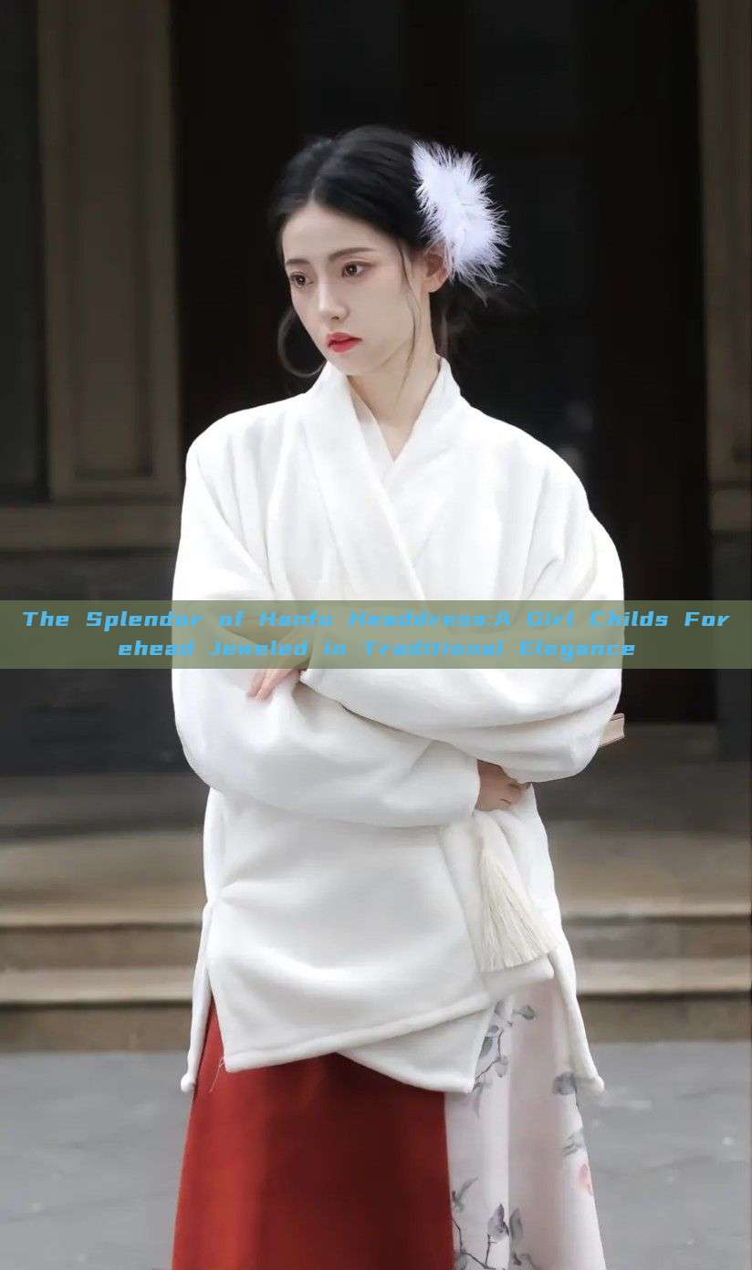 The Splendor of Hanfu Headdress:A Girl Childs Forehead Jeweled in Traditional Elegance