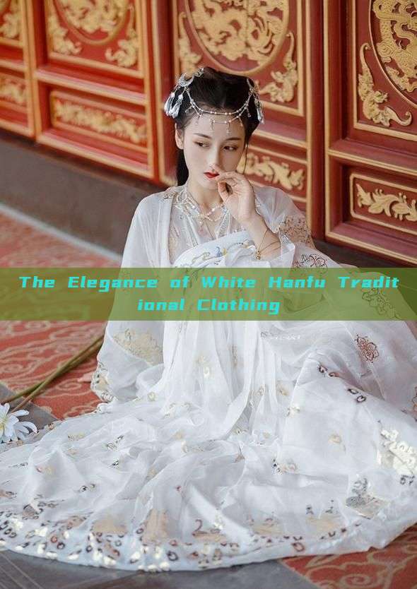 The Elegance of White Hanfu Traditional Clothing The Elegance of White Hanfu Traditional Clothing