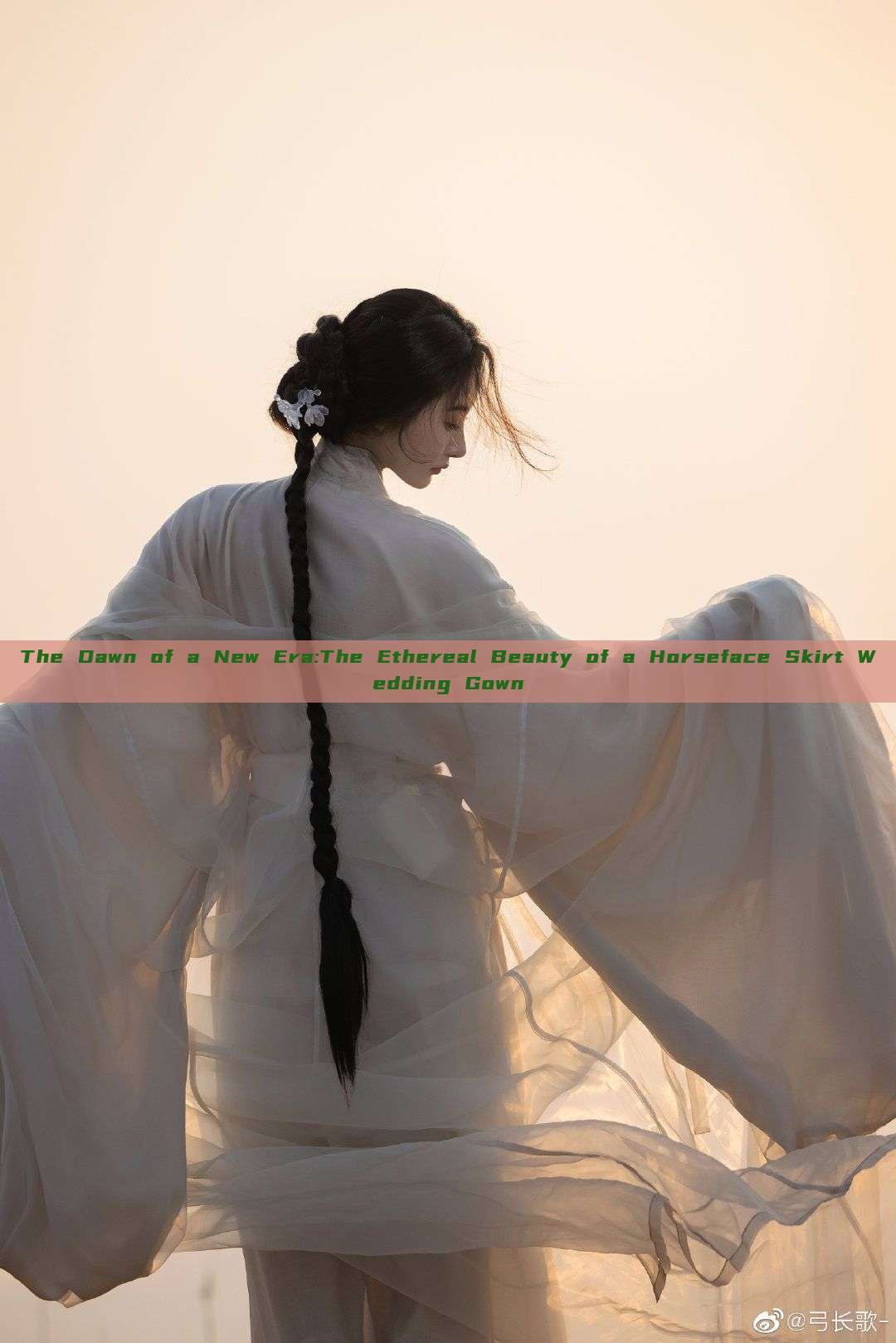 The Dawn of a New Era:The Ethereal Beauty of a Horseface Skirt Wedding Gown The Dawn of a New Era:The Ethereal Beauty of a Horseface Skirt Wedding Gown