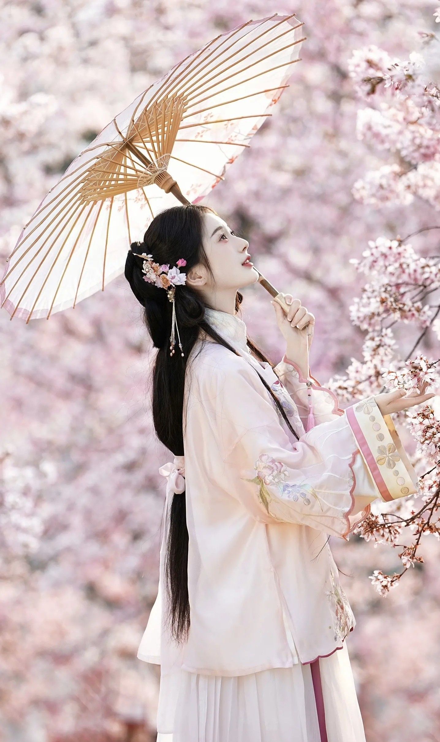 Suzhous Cheongsam Heritage:The Splendor of Silk Cloud-Sha Suzhous Cheongsam Heritage:The Splendor of Silk Cloud-Sha