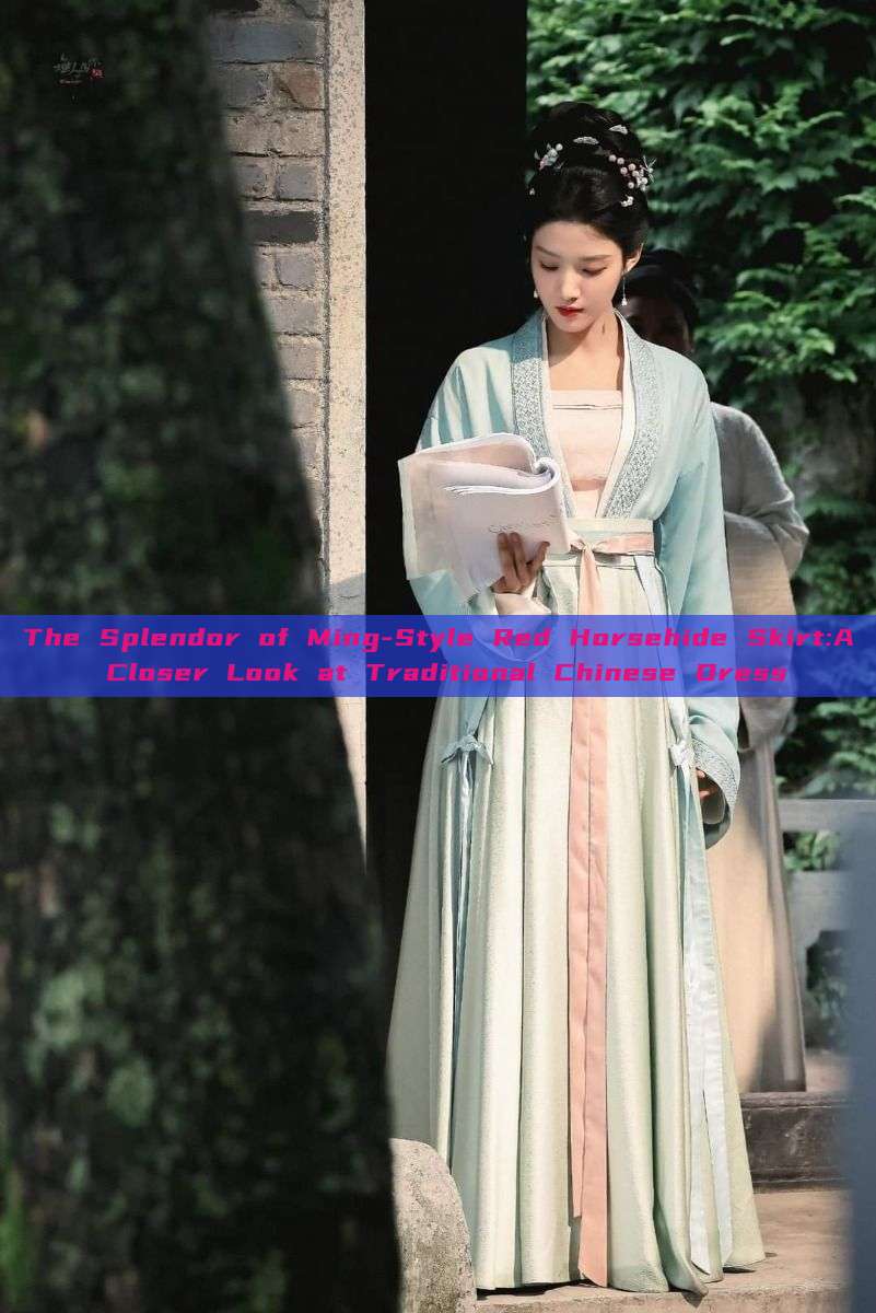 The Splendor of Ming-Style Red Horsehide Skirt:A Closer Look at Traditional Chinese Dress The Splendor of Ming-Style Red Horsehide Skirt:A Closer Look at Traditional Chinese Dress