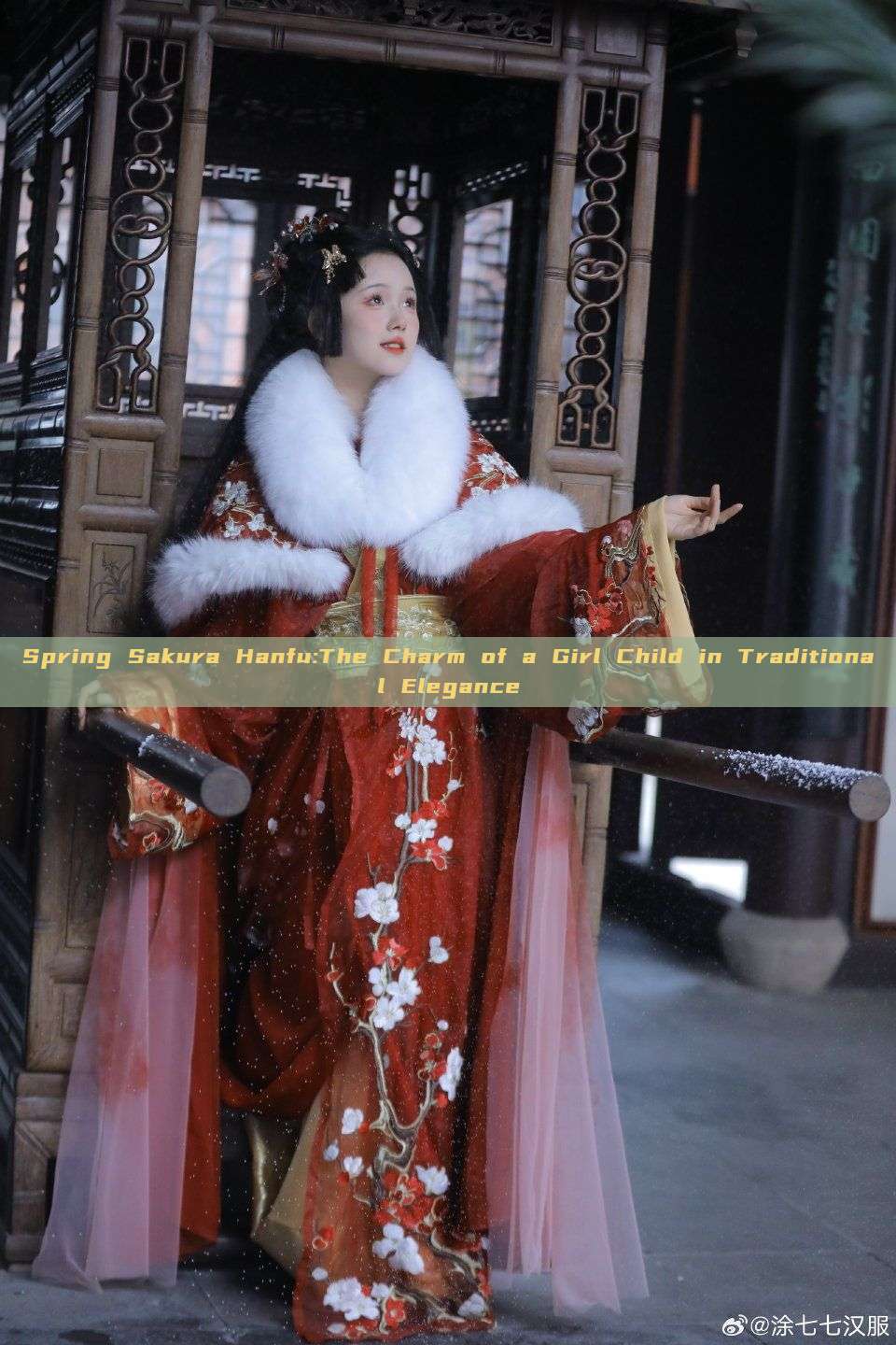Spring Sakura Hanfu:The Charm of a Girl Child in Traditional Elegance Spring Sakura Hanfu:The Charm of a Girl Child in Traditional Elegance