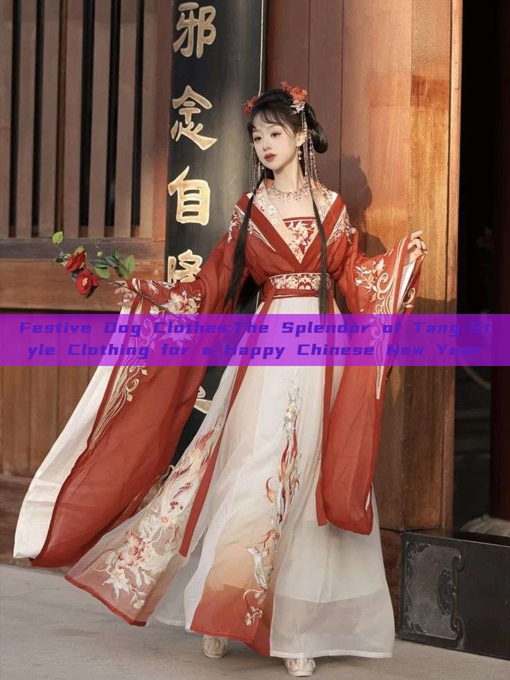 Festive Dog Clothes:The Splendor of Tang-Style Clothing for a Happy Chinese New Year Festive Dog Clothes:The Splendor of Tang-Style Clothing for a Happy Chinese New Year