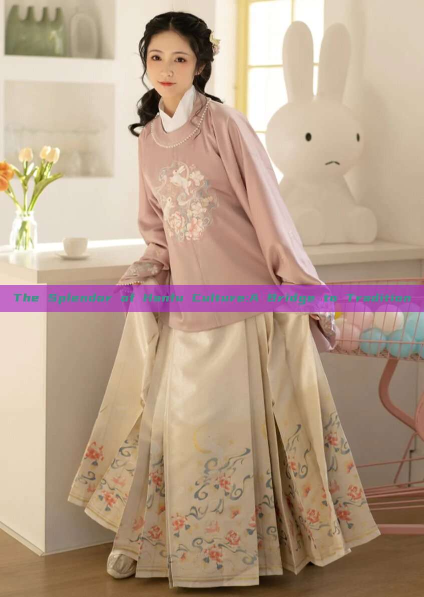 The Splendor of Hanfu Culture:A Bridge to Tradition