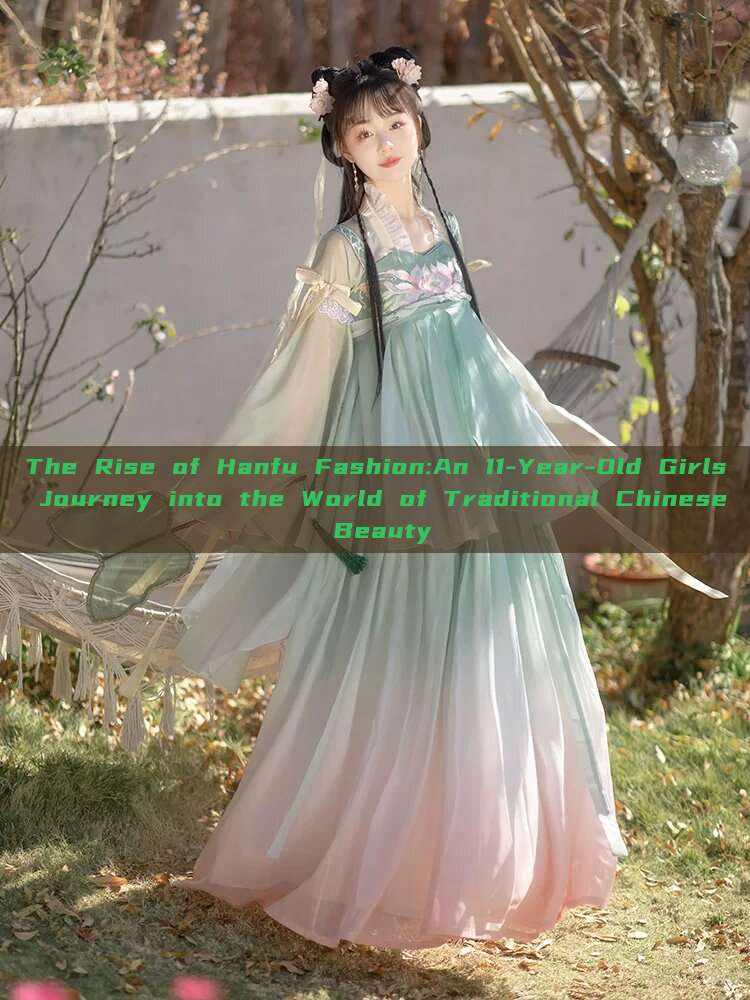 The Rise of Hanfu Fashion:An 11-Year-Old Girls Journey into the World of Traditional Chinese Beauty The Rise of Hanfu Fashion:An 11-Year-Old Girls Journey into the World of Traditional Chinese Beauty