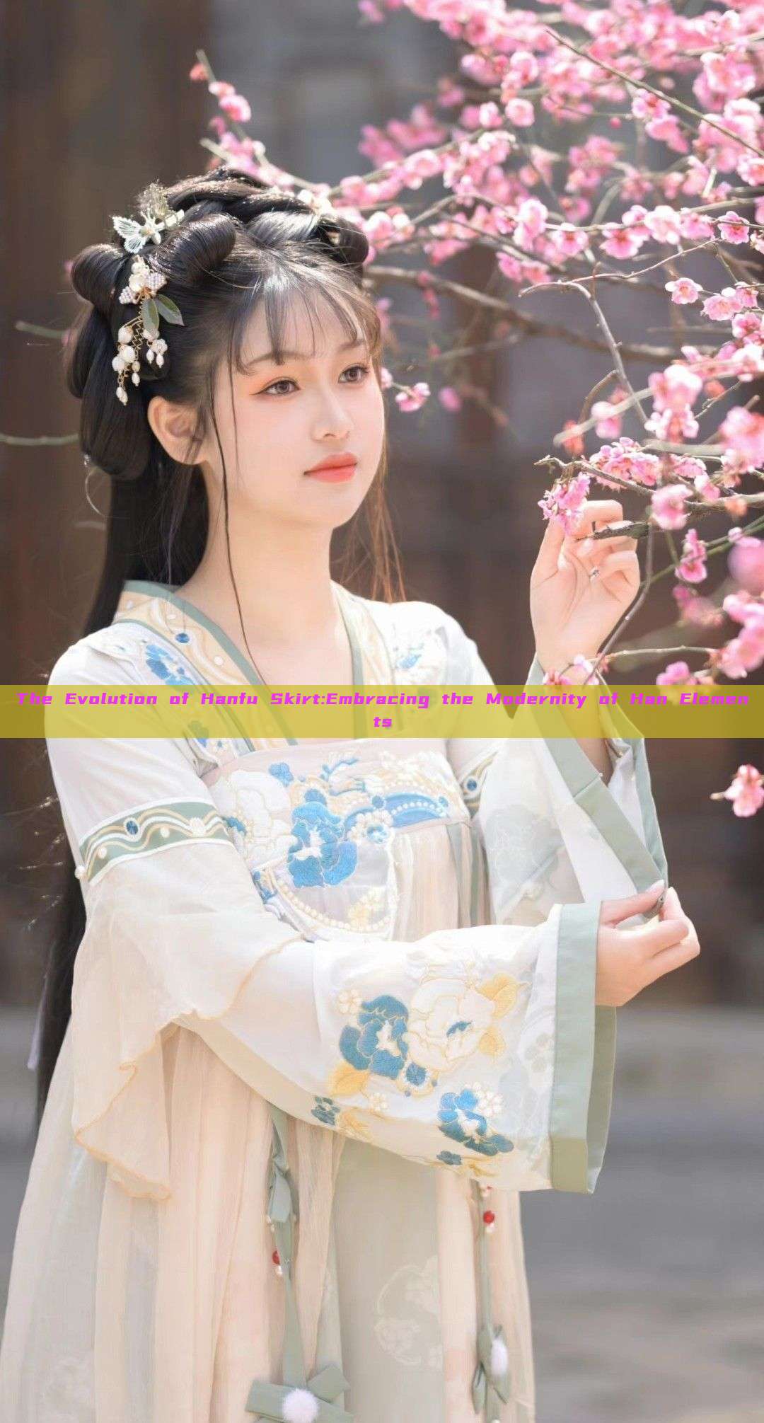 The Evolution of Hanfu Skirt:Embracing the Modernity of Han Elements