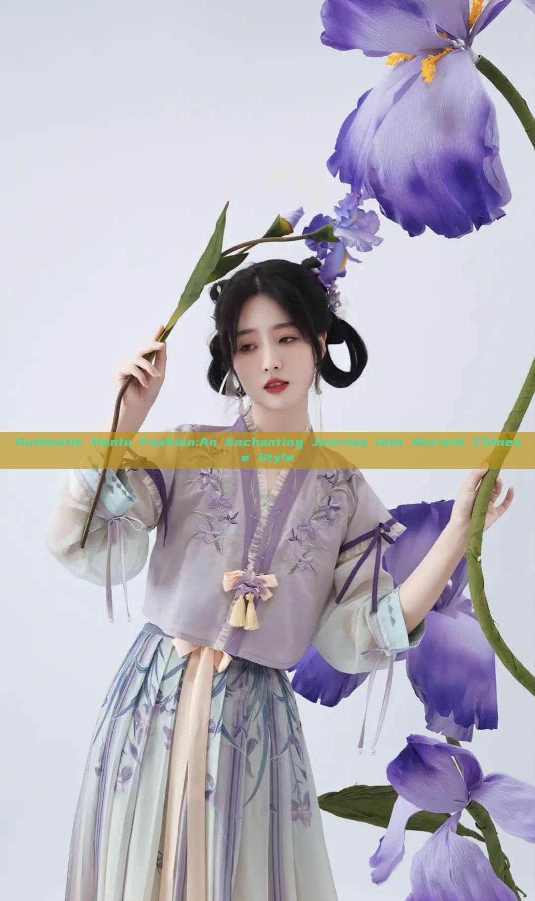 Authentic Hanfu Fashion:An Enchanting Journey into Ancient Chinese Style Authentic Hanfu Fashion:An Enchanting Journey into Ancient Chinese Style
