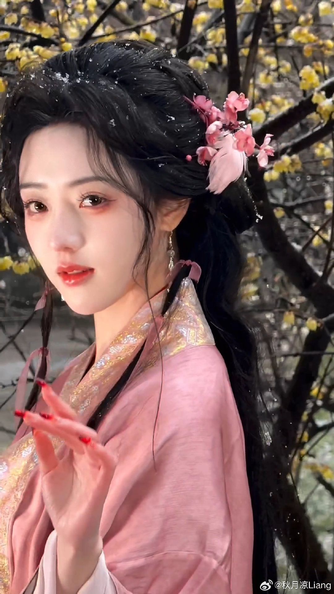 The Splendor of Hanfu:Dragon Mother Hong Zhaoyuan The Splendor of Hanfu:Dragon Mother Hong Zhaoyuan