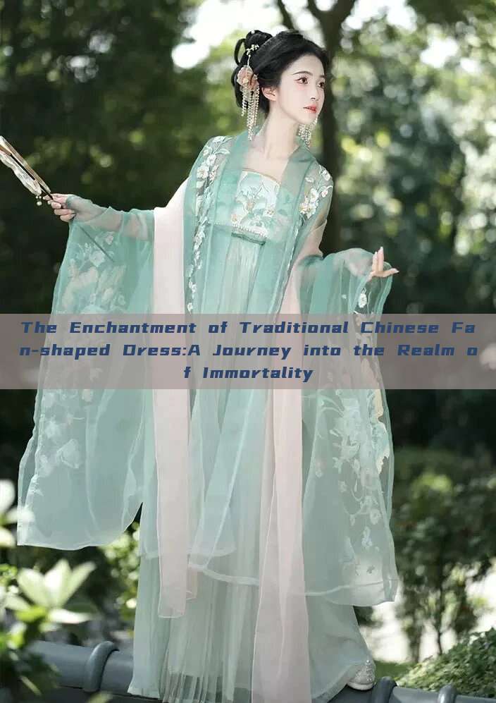The Enchantment of Traditional Chinese Fan-shaped Dress:A Journey into the Realm of Immortality