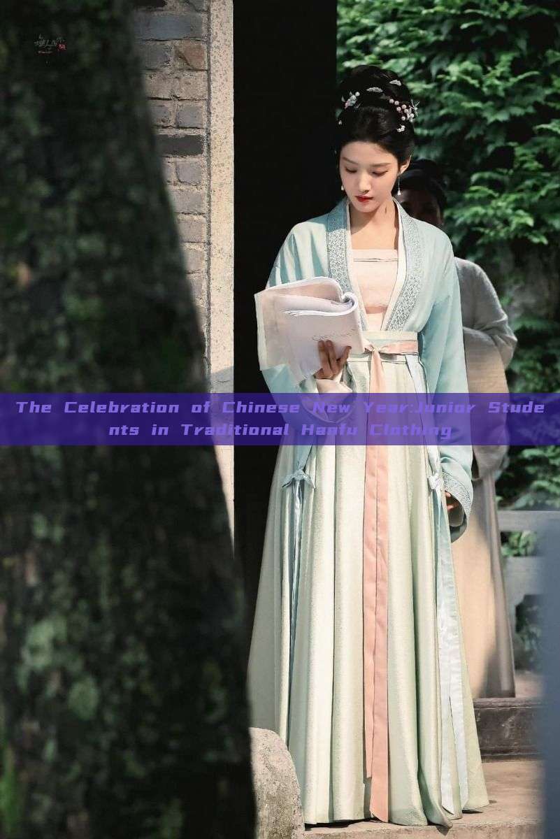 The Celebration of Chinese New Year:Junior Students in Traditional Hanfu Clothing The Celebration of Chinese New Year:Junior Students in Traditional Hanfu Clothing