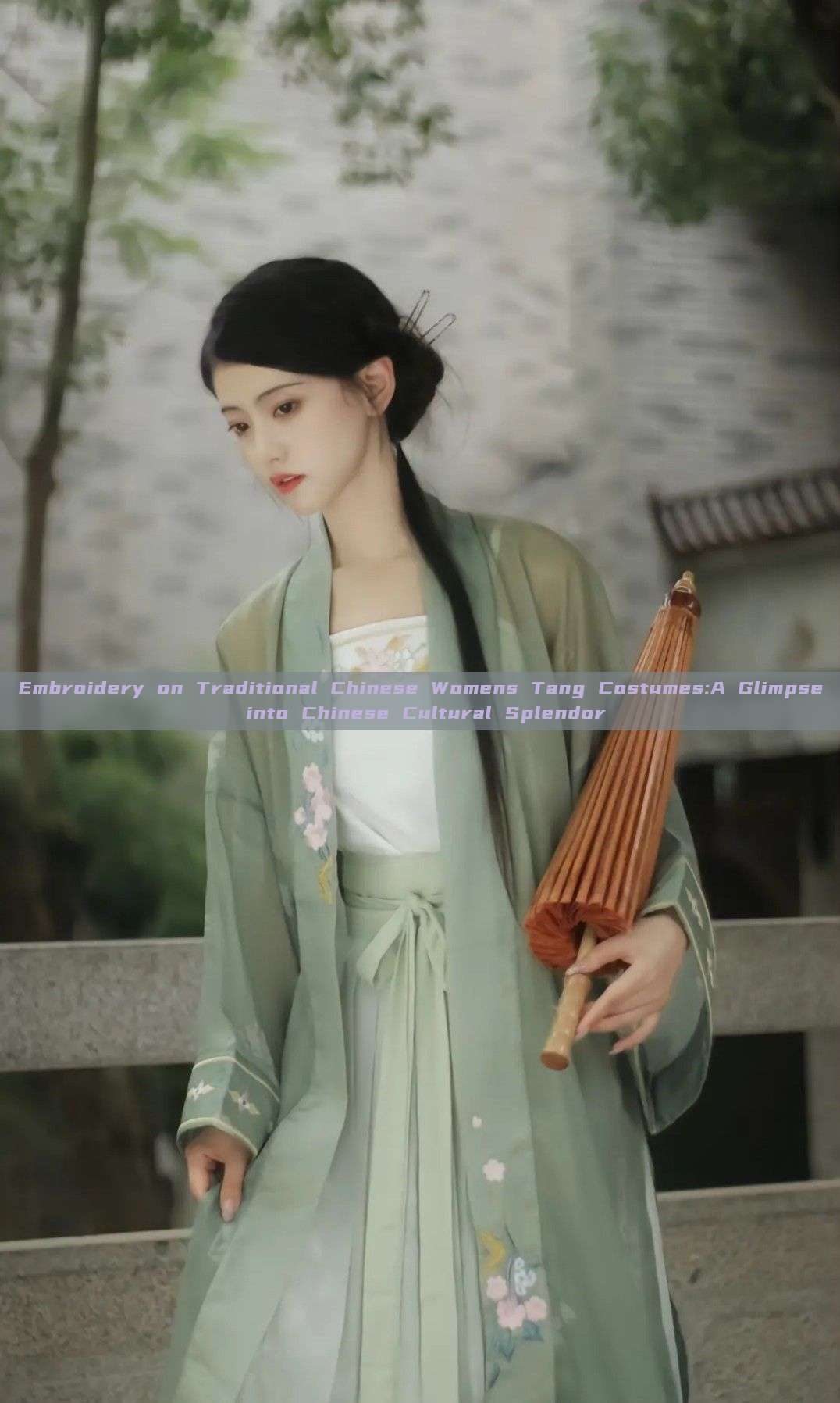 Embroidery on Traditional Chinese Womens Tang Costumes:A Glimpse into Chinese Cultural Splendor Embroidery on Traditional Chinese Womens Tang Costumes:A Glimpse into Chinese Cultural Splendor