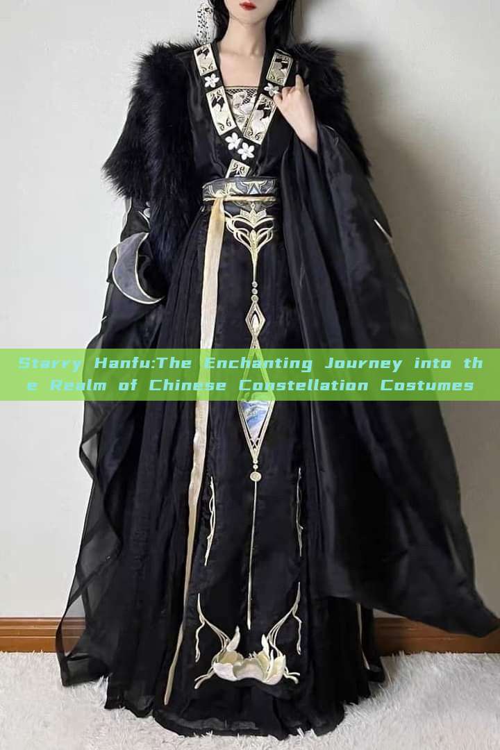 Starry Hanfu:The Enchanting Journey into the Realm of Chinese Constellation Costumes Starry Hanfu:The Enchanting Journey into the Realm of Chinese Constellation Costumes